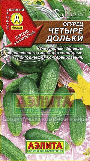 Огірок чотири часточки f1 купити насіння огірків оптом оптом і в роздріб від виробника