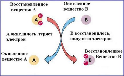 Capacitatea de oxidare-reducere a apei din acvariu