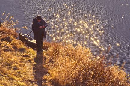 Peisaje de toamnă în apropierea satului Kourovka, un blog al unui fotograf și călător