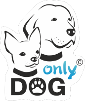 Пандуси для собак в онлайн-зоомагазині