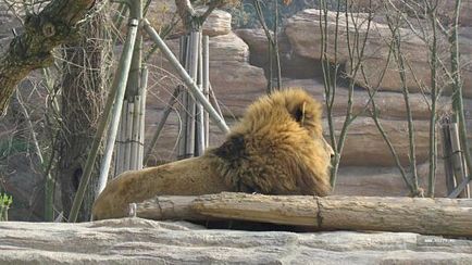 Parcul de distracții Everland