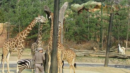 Парк розваг everland