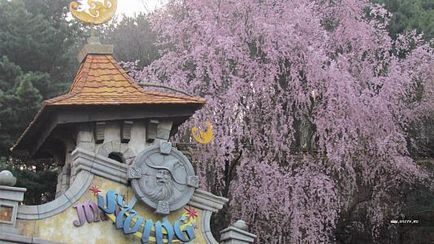 Парк розваг everland