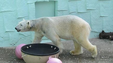 Парк розваг everland