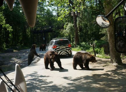 Parcul de distracții Everland, Seul, Coreea de Sud descriere, fotografie, unde este pe hartă, cum se ajunge la