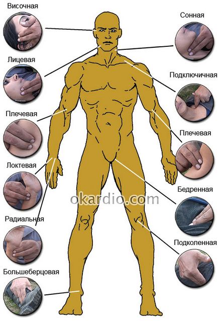 Перша допомога при кровотечах короткі і докладні інструкції