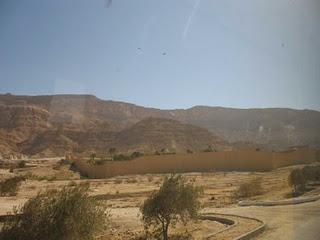 Primii pustnici ai deșertului egiptean - despre nașterea monahismului