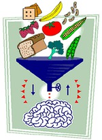 Nutriție pentru mâncarea sănătoasă a creierului