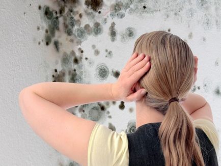 Mold în apartament, blog-ul managerului