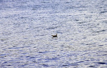 Plajele din Lacul Tavatui