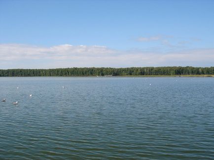 Selecție (lac)