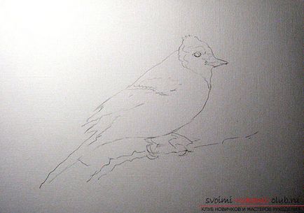 Поетапне малювання аквареллю пташки не викличе у вас труднощів, якщо слідувати інструкціям