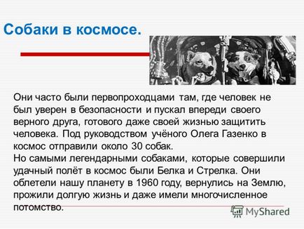 Презентація на тему собаки були першими, кого одомашнили людина