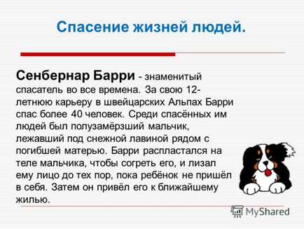 Презентація на тему собаки були першими, кого одомашнили людина