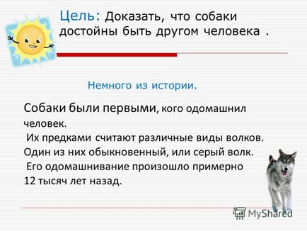 Презентація на тему собаки були першими, кого одомашнили людина