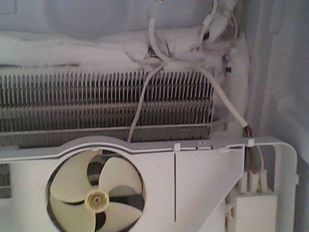 Motivele pentru care camera superioară a frigiderului nu funcționează și nu îngheață, ariston, atlant,