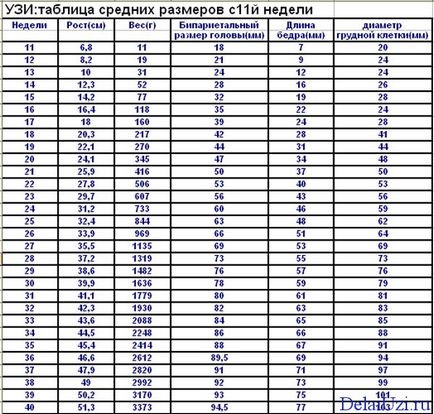 Dimensiunile fetale pentru ultrasunete: cum se calculează greutatea conform tabelului