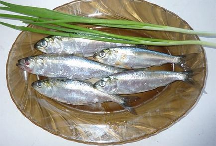 Fish shad hogyan kell főzni