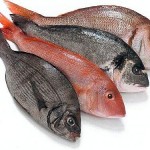 Ziua de pește cum să alegeți pește proaspăt și trei rețete pentru dorada, ton și macrou, lingură!