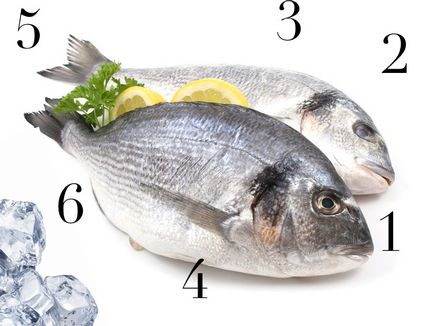 Fish nap, hogyan választják ki a friss hal és három receptet a tengeri keszeg, a tonhal és a makréla, kanál!