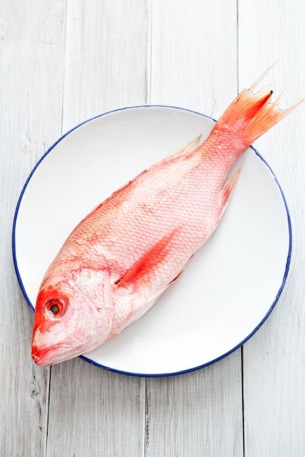 Fish nap, hogyan választják ki a friss hal és három receptet a tengeri keszeg, a tonhal és a makréla, kanál!