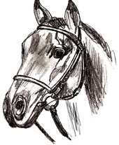 Rajz egy ceruza felhívni lépésről lépésre - hogyan kell felhívni a ló lépésről lépésre ceruzarajz ló