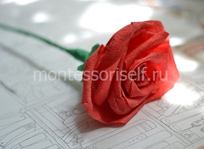 Rose de hârtie ondulată cu mâinile tale