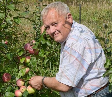 Сад з яблунь і груш на піску технологія - без лопати