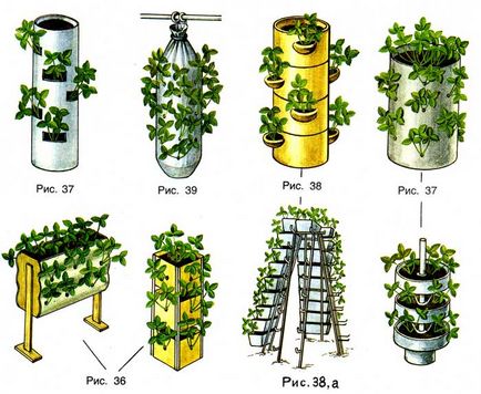 Садова суниця вертикальний спосіб вирощування