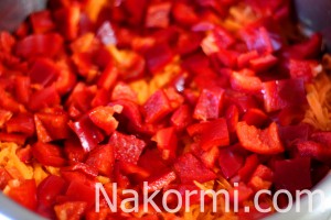 Salata pentru iarnă din vinete, piper, tomate, morcov și rețetă de ceapă cu fotografie