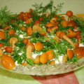 Salată cu gustări originale de ciuperci de ciuperci, ciuperci