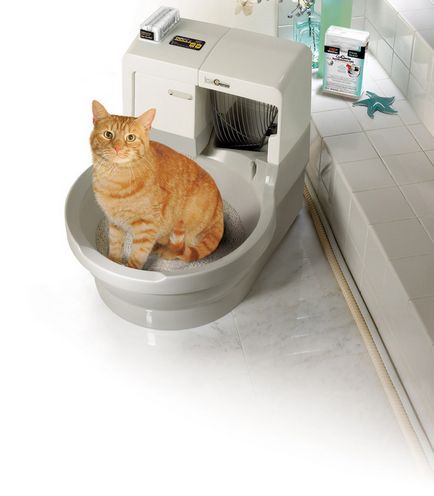 Autocurățarea toaletei pentru principiile de funcționare a pisicilor, dimensiunile și legăturile de prindere 120