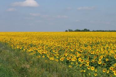 Санаторії волгоградської області ціни на 2017 рік з лікуванням, офіційний сайт курорт експерт