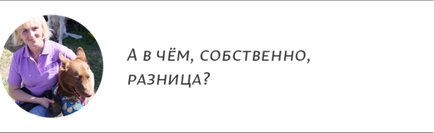 Секція безпородних собак тут не запитають «документики», «собаки вдома»