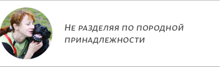 Секція безпородних собак тут не запитають «документики», «собаки вдома»