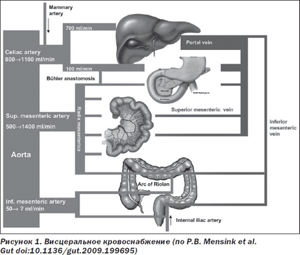 Sindromul de ischemie abdominală cronică, ediție online - știri de medicină și farmacie