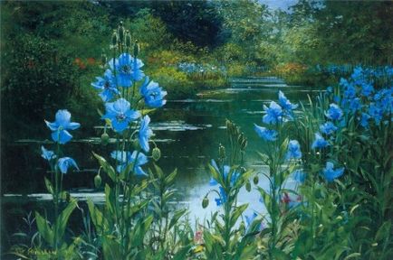 Flori albastre în grădină, fotografie, scheme, plantează o grădină