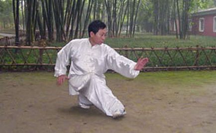 Xingyiquan 