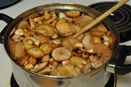 Cât de mult puteți păstra ciupercile fierte în frigider și congelator