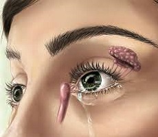 Ochii glandelor lacmiare - structura și funcția, diagnosticul și boala - site - Moscova