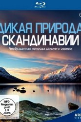 Дивитися серіал bbc планета земля онлайн безкоштовно в хорошій якості