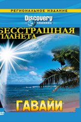 Дивитися серіал bbc планета земля онлайн безкоштовно в хорошій якості