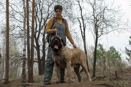 Собака Баскервілів »по-уральських в Єкатеринбурзі живуть собаки вагою більше 100 кг