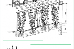 Сонячний вегетарій - теплиця нового покоління ідея, пристрій і ефективність