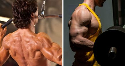 Back and biceps - program de antrenament pe o zi și în zile diferite