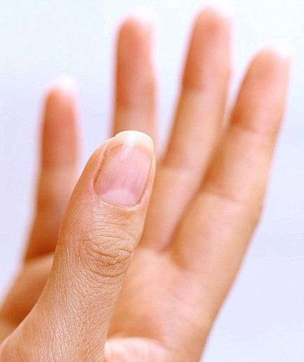 Статті про нарощування нігтів, словник термінів нігтьового сервісу, все про нігтях