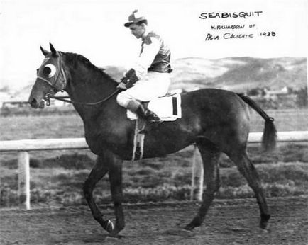 Sushary (seabiscuit) - calul secolului - site despre cai