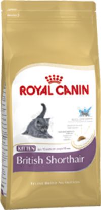 Száraz élelmiszer Royal Canin macskaeledel Tambov