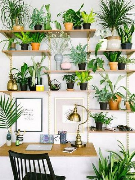 Свіжий інтер'єр будинку 30 зелених куточків для любителів рослин