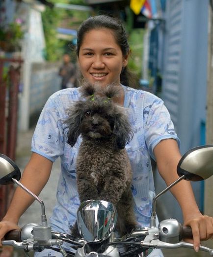 Thais și câinii lor - caracteristicile relațiilor